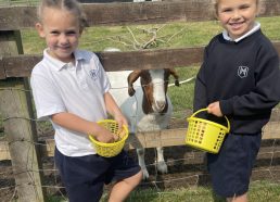 A visit to the Bucks Goat Centre