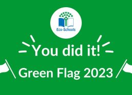 We have Green Flag Status!