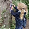 Forest School