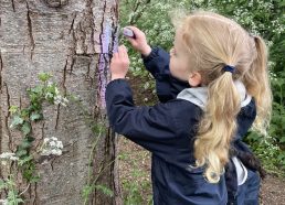 Exploring the Natural World