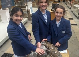 A extremely busy Educational Visits day for Year 5!